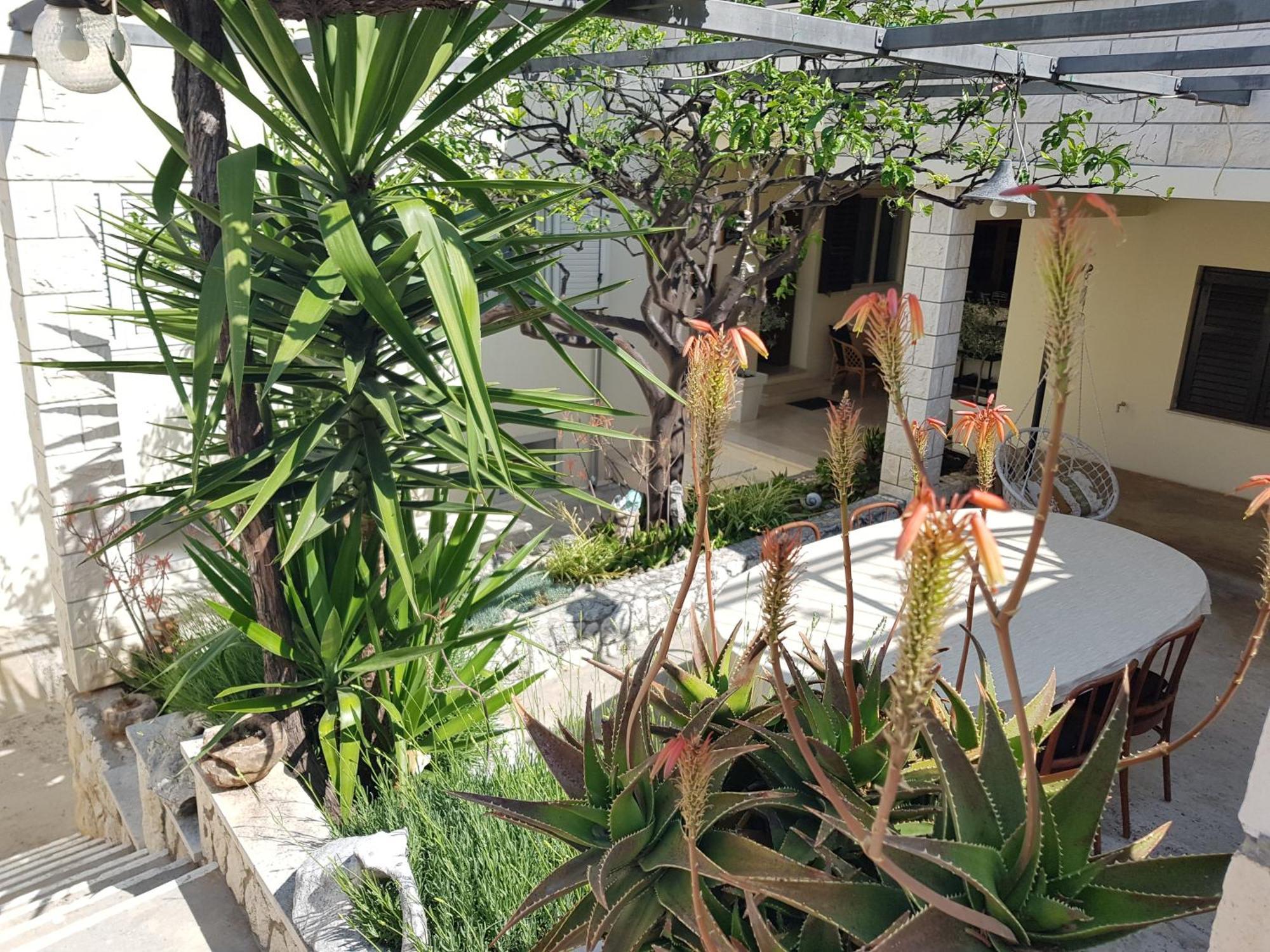 Bed & Breakfast Huljic Hvar Town Esterno foto